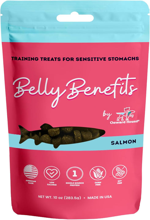 Training Treats for Dogs - Soft Salmon, Low Calorie for Sensitive Stomachs, 10 oz