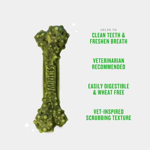Minties Dental Chews for Dogs, 12 Count, Vet-Recommended Mint-Flavored Treats for Large Dogs Over 50 lbs
