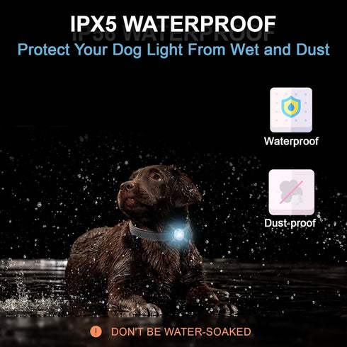 2 Pack Rechargeable Dog Collar Light, 2024 Best 7 Color Changing Light for Night Walking, Camping, Bike.