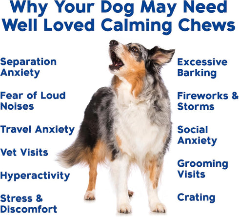 Recommended, Well Loved Calming Chews for Dogs - Dog Calm Treats, Made in USA, Vet Behavior Support with Melatonin
