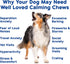 Recommended, Well Loved Calming Chews for Dogs - Dog Calm Treats, Made in USA, Vet Behavior Support with Melatonin