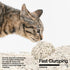 70%:30%,Absorbent Dregs,5-Fold Clumping5.3lb2bags pidan Mix Cat Litter,Tofu Cat Litter with Bentonite and Fast