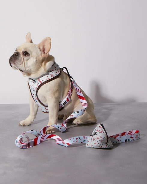 Ruffhaus NYC Peppermint Bark Christmas Print Dog Leash 1 Inch by 59 Inches, Durable Polyester Webbing, Comfortable