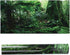 PVC Adhesive Reptile Poster, Jungle Pattern Fish Terrarium Background Decoration (122 * 46cm)