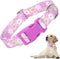 Girl Dog Collar with Purple Floral Patterns, Adjustable Cute Soft Collar with Quick Release Buckle for Small Medium