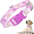Girl Dog Collar with Purple Floral Patterns, Adjustable Cute Soft Collar with Quick Release Buckle for Small Medium