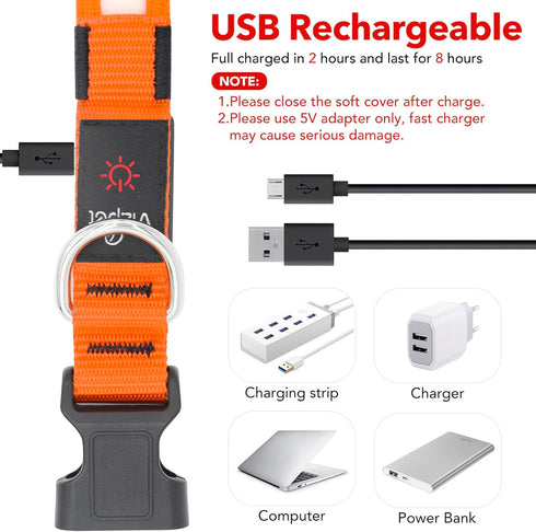 LED Dog Collar, Light Up Adjustable USB Rechargeable Safety Collar for Small Dogs (Small, Orange)
