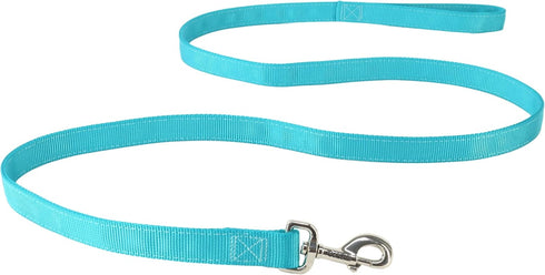 Coastal Pet Double-Ply Dog Leash, Bolt Snap Attachment, Nylon Walking Leash for Small, Medium, Large Dogs (Teal, 1" x