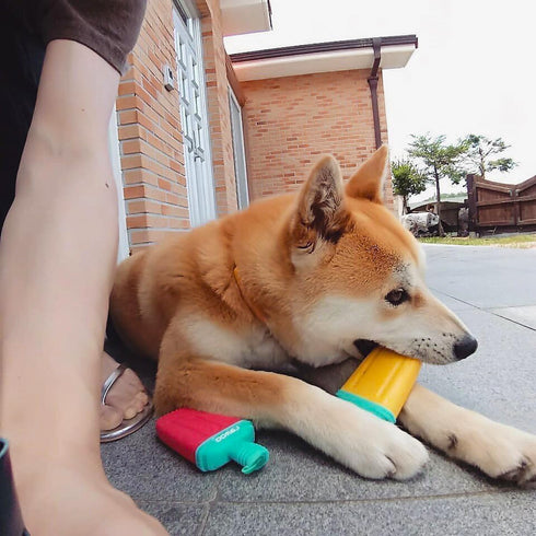 LaRoo Frozen Dog Toys for Summer Cooling, Upgraded Teething Chew Toy (Ice Pop Shape-Red), Prevention of Heat Stroke