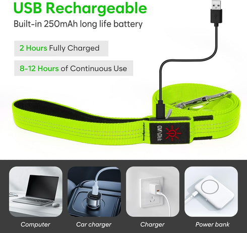 LED Light Up Dog Leash with 3 Lighting Modes, USB Rechargeable, High Visibility for Large Medium Small Pets