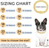 Gold Dog Chain Diamond Collar, Walking Metal Chain with Secure Buckle, Jewelry Accessories for Small Medium Large Dogs