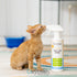 Oxyfresh Advanced Pet Stain Remover & Urine Odor Eliminator, Fast Acting for All Surfaces