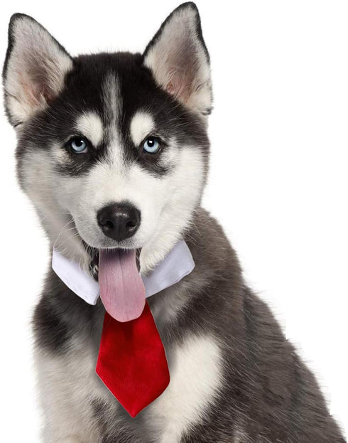 ZTON Bowtie for Little Puppy - Handcrafted Adjustable Formal Collar Neck Tie for Dogs & Cats (L, Red)