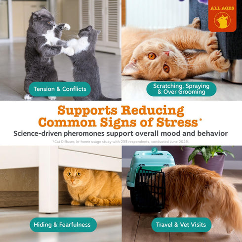 30 Zesty Paws Day Cat Pheromones Calming Diffuser Plug-in Starter Kit - Cat Calming Diffuser for Cats with Stress