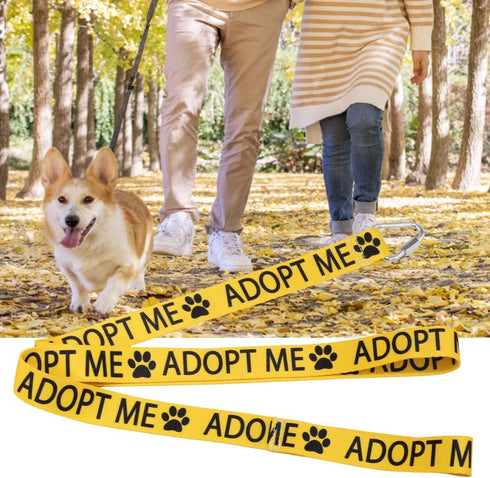 Adopt Me Dog Leash Wrap Gift for Dog Owners, New Puppy Dog Rescue Gift (Adopt ME Leash)