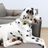 Dinosaur Summer Cotton Dog Collar with Metal Buckle, Gift Collar for Small Medium Large Dogs, Cute Durable Comfortable
