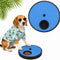 MuzzlePop Dog Nail Scratch Board with 2 Knobs Best for Small & Medium