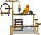 kathson Parrot Play Stand Parakeet Playground Bird Jungle Gym Wood Conure Playstand