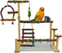 kathson Parrot Play Stand Parakeet Playground Bird Jungle Gym Wood Conure Playstand