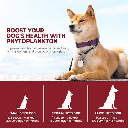 Mr. Ros Marine Phytoplankton: Supercharge Your Dog's Health (3.5 oz / 100 g), Essential Nutrients for Shiny Coat,