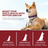 Mr. Ros Marine Phytoplankton: Supercharge Your Dog's Health (3.5 oz / 100 g), Essential Nutrients for Shiny Coat,