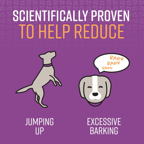 Sentry Pet Care Stop That! Behavior Correction Spray for Dogs - Easy Spray Application to Eliminate Excessive Barking