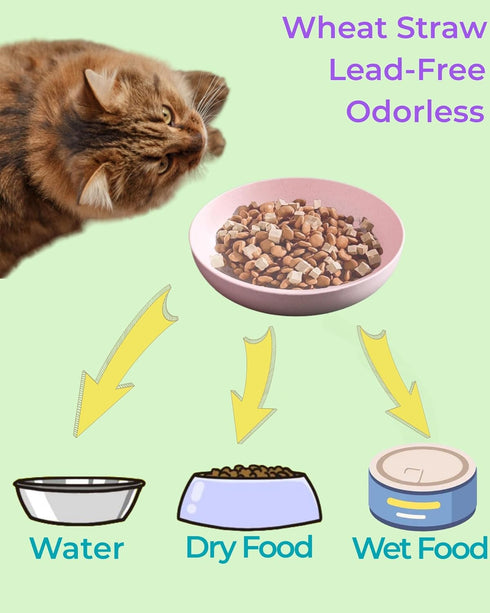 6-Pack Cat Food Bowls with Non-Slip Feet, Whisker Fatigue Dishes for Indoor Cats, 5.5" Flat Plates