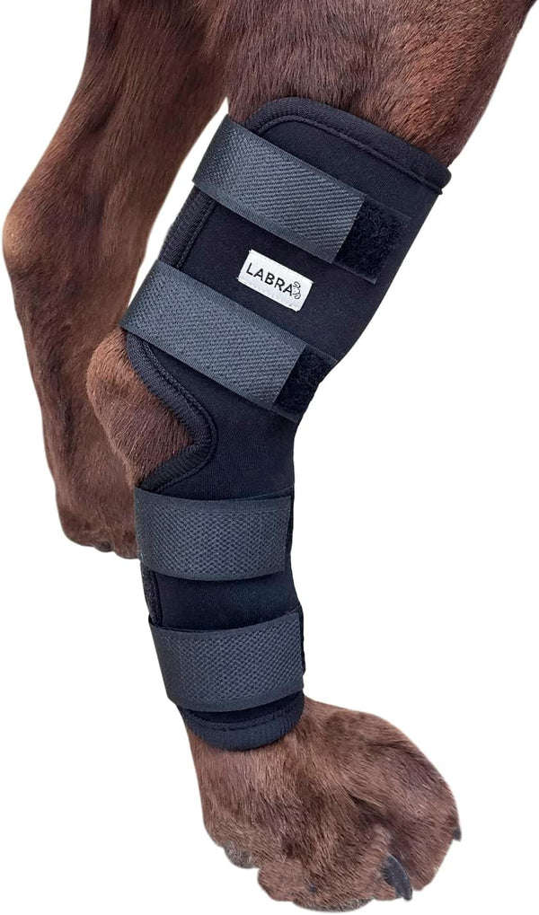 Labra Dog Extra Supportive Canine Rear Leg Hock Joint Compression Wrap, Medium, for Recovery and Injury Prevention