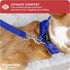 Downtown Pet Supply Step in Dog Harness for Small Dogs, No Pull, Blue, Adjustable with Padded Mesh Fabric and