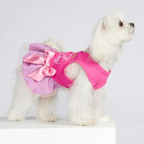 Fitwarm It's My Birthday Dog Dress, Dog Birthday Dress with Bowknot, Dog Clothes for Small Dog Girl, Funny Dog Clothes, Pet Cat Outfit, Pink, Large
