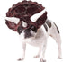 CALIFORNIA COSTUME COLLECTIONS Pet TRICERADOG Dog Costumes, Burgundy, M, Neck 14-16 Girth 20-24