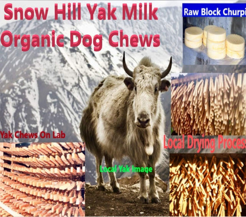 Snow Hill Himalayan Yak Cheese Dog Chews Double X Monster 13-14 Oz, 10-11 in Long, Healthy Organic Dog Treats