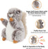Dog Toys Plush Squirrel Dog Toy Stuffed Animals Chew Toy Soft Squeaky Dog Gift Toys for Small Medium Big Large Dogs Pet