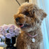Adjustable Rhinestone Pet Collar, Sparkling 3 Rows Crystal Diamond Dog Collars for Small Medium Large Pets, C-Pink, L