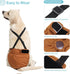 3 Pack 1 Avont Washable Female Dog Diaper with Suspender, Reusable Girl Doggie Underwear Pants for Heat Cycle Period