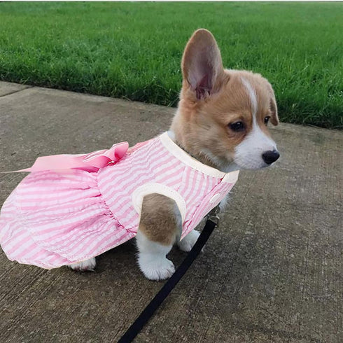 2 Pcs Dog Dresses for Small Medium Puppy Girls, Summer Princess Tutu Skirt Outfit Size M