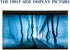 Fish Backgrounds Paper Double Sides 3D Stone & Trees Picture 23" x 71" for Aquarium Tank Background