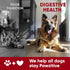 Immune Probiotics for Dogs Digestive Health - Probiotic Chews for Gut Health, Itchy Skin Yeast, Diarrhea - USA Product