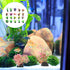 PATKAW Terrarium Plants, 20pcs Miniature Aquarium Plants for Micro Landscape Bonsai Decorations