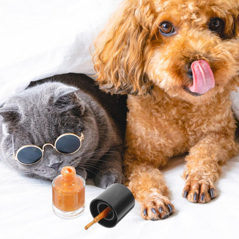 Dog Nail Polish Quick Dry Pet Nails Polish Set, 6 Pcs Water-Based Healthy Paw Grooming Dye Kit for All Pets