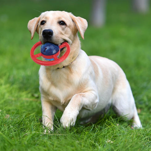 Treat Dispensing Dog Toys, Slow Feeder for Health Eating, Interactive Dog Toys for Boredom, Durable Dog Food Puzzle