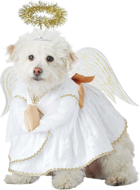 Heavenly Hound Pet Costume, Medium Size