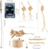 Quatendril Toys-7pcs Cat Chew Toy-Natural Loofah Raffia Catnip Handmade Gum Massage Teether w/ Cat Wand Toy