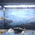 White Cute Ceramic Shrimp Shelter, Betta Fish Tank Decor Jar for Aquarium Landscape