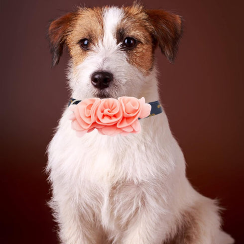 Dog Collar Charms with Large Flowers - 4, 6, or 20PCS Attachment for Small Medium Big Girl Cat Puppy Rabbit