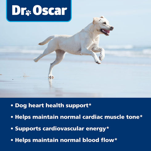 Taurine Supplement for Dogs - 120ct, Meets RDA of 500 mg per 25lbs, Helps Maintain Dog Heart Health & Normal Blood Flow