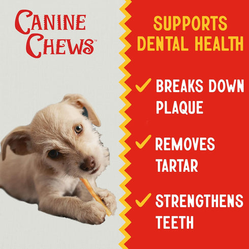 5" Pack 100 100% Canine Chews Chicken Coated Sticks - of Chicken Wrapped Rawhide Dog Treats - Real USA-Sourced Chicken