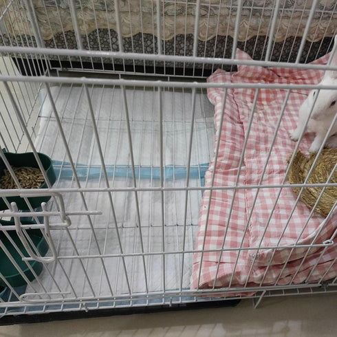 100 Hedgehog12.9"x17.7" Pcs Guinea Pig Pee Pads, Disposable Rabbit Cage Liners Bunny Potty Training Accessories