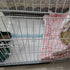 100 Hedgehog12.9"x17.7" Pcs Guinea Pig Pee Pads, Disposable Rabbit Cage Liners Bunny Potty Training Accessories