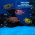Glow in The Dark Gravel, Fluorescent Rocks for Fish Tank Decorations, Decorative Aquarium Gravel Stones, 300g/0.66lb